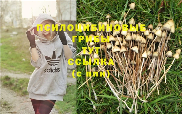 COCAINE Балабаново