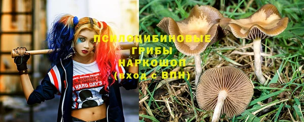 мяу мяу мука Армянск
