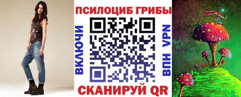 Купить где  Новоржев  Галлюциногенные грибы MAGIC MUSHROOMS 