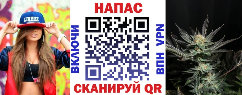 Канабис SATIVA & INDICA Новоржев